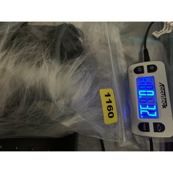 Douglas Cuddle Toys Skunk Plastic Pellets 2008 Item1791.1 7 Inch Black White Sku - Picture 12 of 12